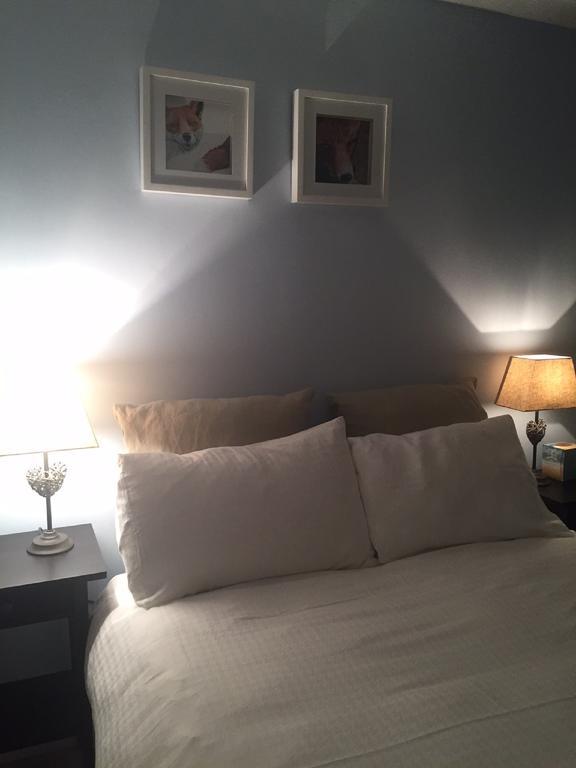 Illshaw Heath Farm Guest Lodge Hockley Heath Quarto foto